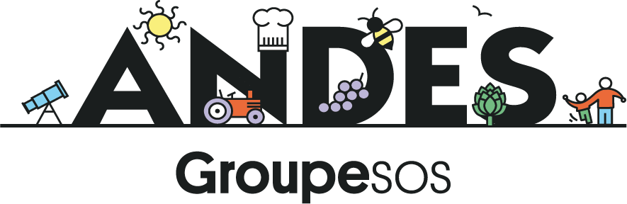 Logo ANDES 