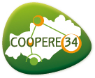 LOGO C34