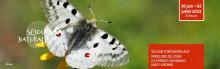 Séjour initiation papillons de jour