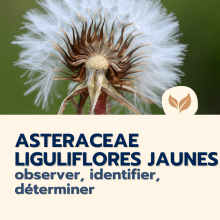 Catalogue formation naturalistes 2025 écologie biodiversité animation nature Ecologistes euziere