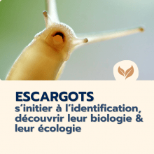 Catalogue formation naturalistes 2025 écologie biodiversité animation nature Ecologistes euziere