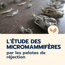 Catalogue formation naturalistes 2025 écologie biodiversité animation nature Ecologistes euziere