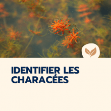 Catalogue formation naturalistes 2025 écologie biodiversité animation nature Ecologistes euziere