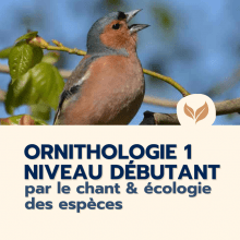 Catalogue formation naturalistes 2025 écologie biodiversité animation nature Ecologistes euziere