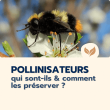 Catalogue formation naturalistes 2025 écologie biodiversité animation nature Ecologistes euziere