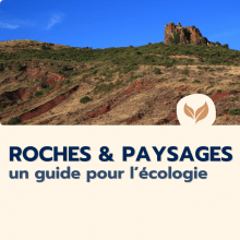 Catalogue formation naturalistes 2025 écologie biodiversité animation nature Ecologistes euziere