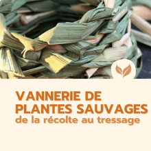 Catalogue formation naturalistes 2025 écologie biodiversité animation nature Ecologistes euziere