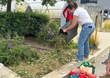 formation gestion optimisée des déchets verts